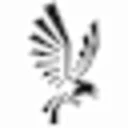 Black Hawk Japan Coupon Codes